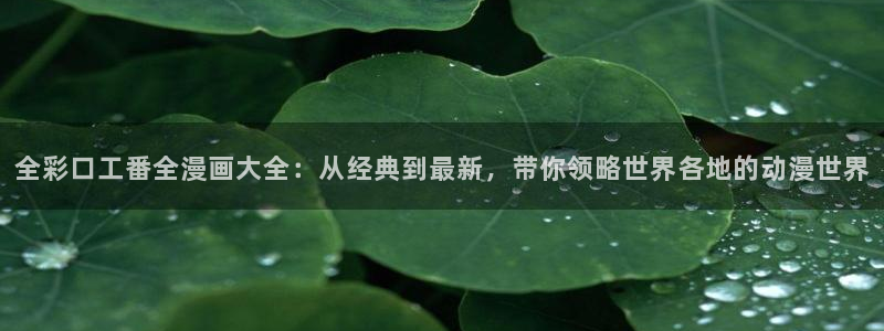 包子漫画免费漫画入口页面下拉式