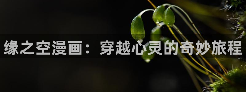 .包子漫画